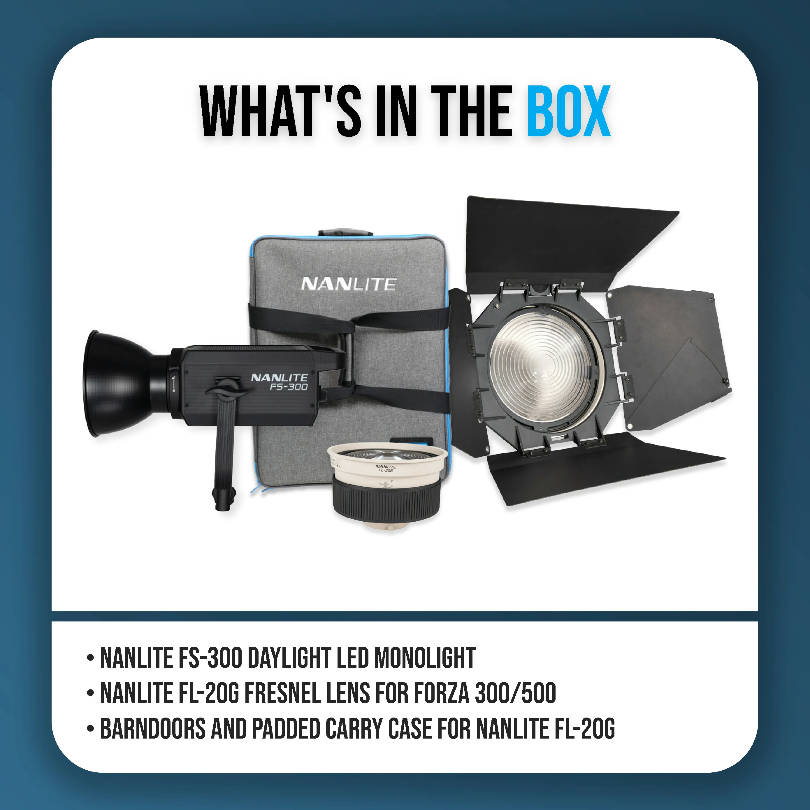 Nanlite FS-300 Daylight AC LED Monolight Bundle with Lens for Forza 300/500 - Image 8