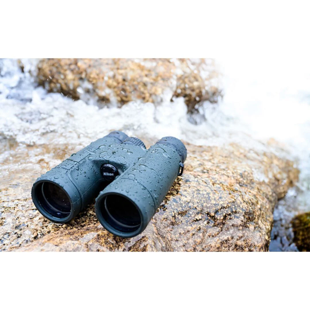 Nikon PROSTAFF P7 8x42 Waterproof/Fogproof Full-Size Binoculars (Black) (Certified Refurbished) - Image 6