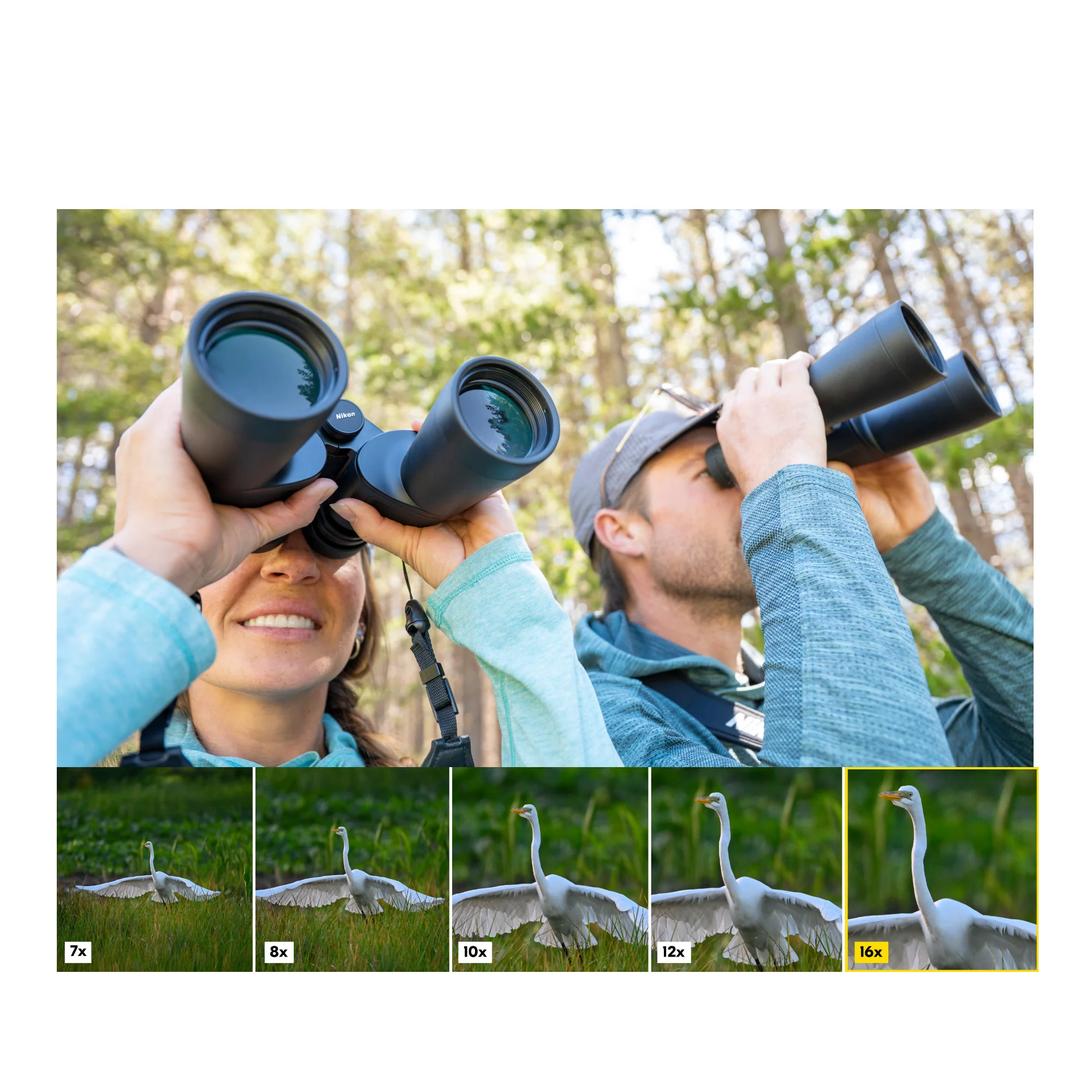 Nikon 16x50 Action Binoculars with 50mm Objective Lenses Wide Field of View - Image 8