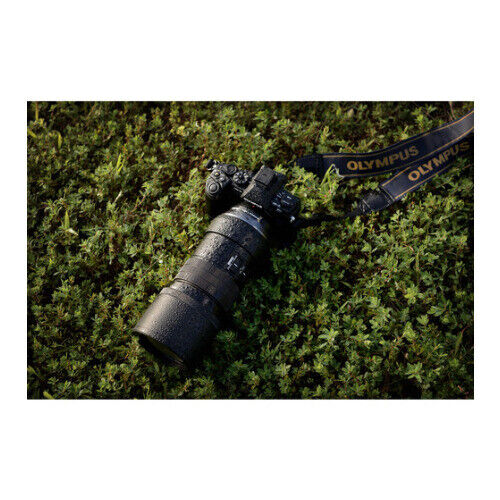 Olympus M.Zuiko Digital ED 300mm f/4.0 PRO Lens (Black) - Image 11
