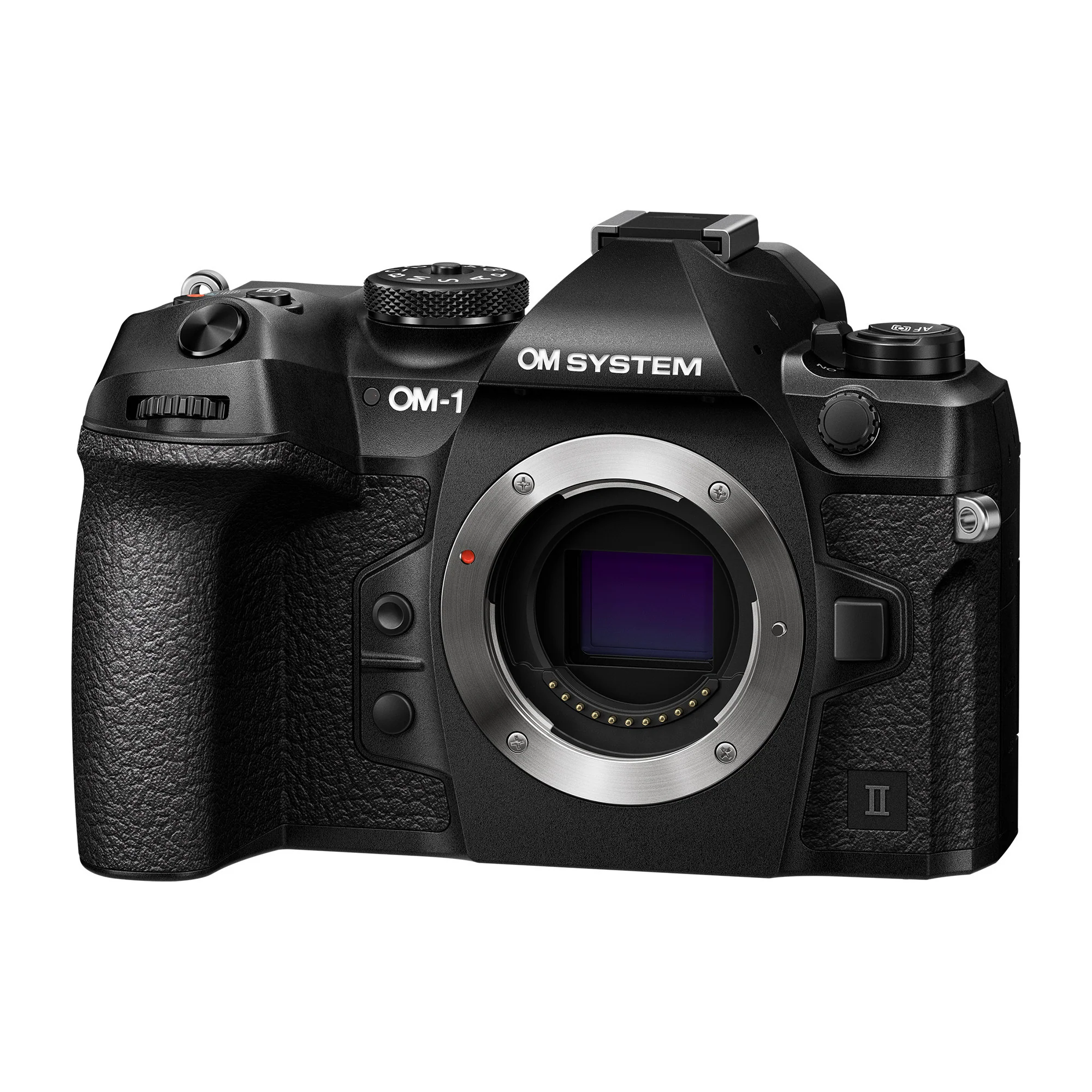 OM SYSTEM OM-1 Mark II with 12-40mm f/2.8 Lens (Used) - Image 4