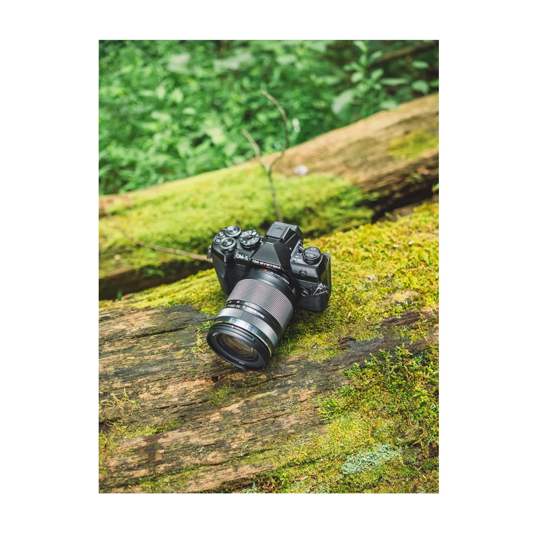 OM SYSTEM OM-5 Mark II Mirrorless Camera with 14-150mm f/4-5.6 II Lens (Black) - Image 6