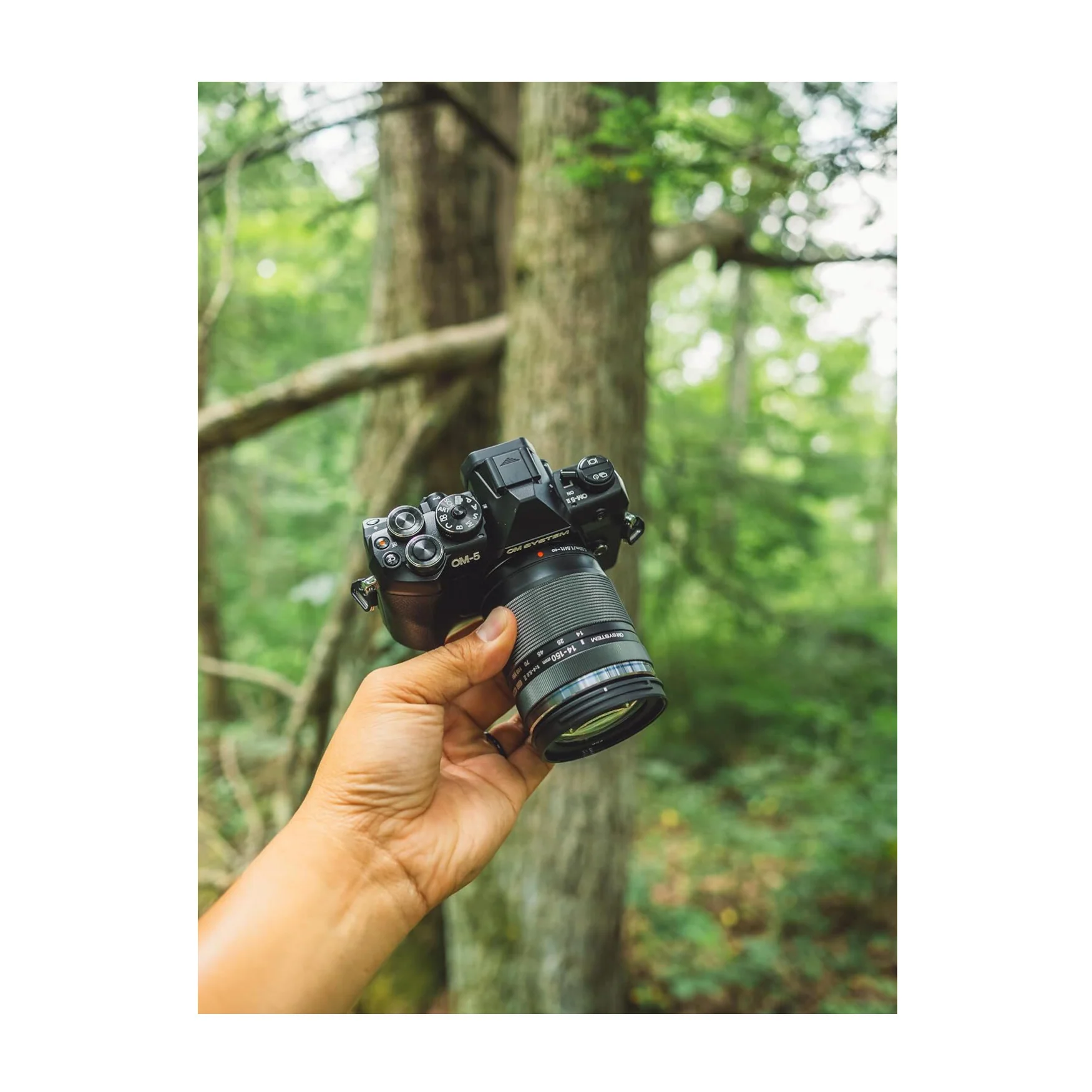 OM SYSTEM OM-5 Mark II Mirrorless Camera with 14-150mm f/4-5.6 II Lens (Black) - Image 7