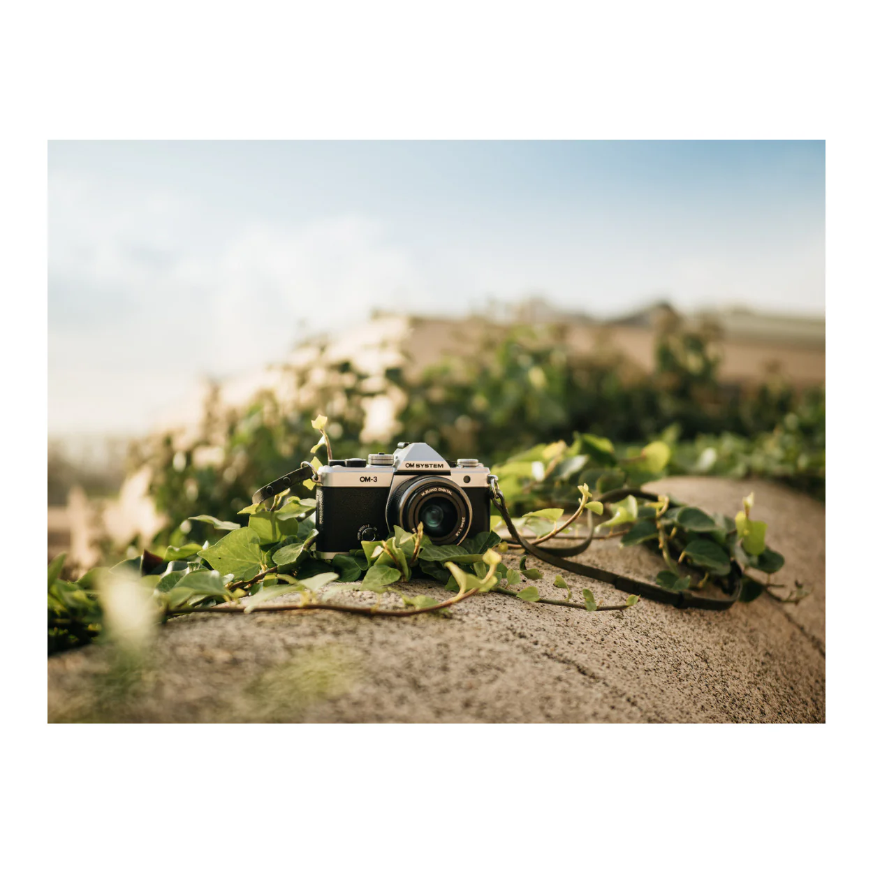 OM System Om-3 Mirrorless Micro Four Thirds Lens System Camera with BSI Live MOS Sensor - Image 6