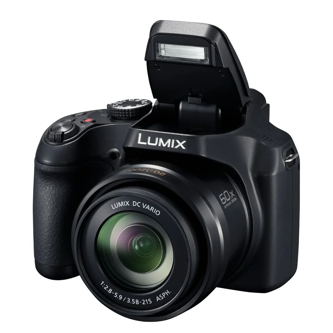 Panasonic LUMIX FZ80D Point and Shoot Digital Camera - Image 4