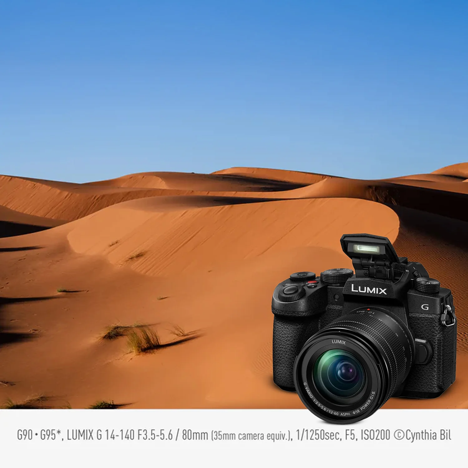 Panasonic LUMIX G97 Micro Four Thirds Mirrorless Camera (Black) with 2 Batteries and Charger Bundle - Image 3