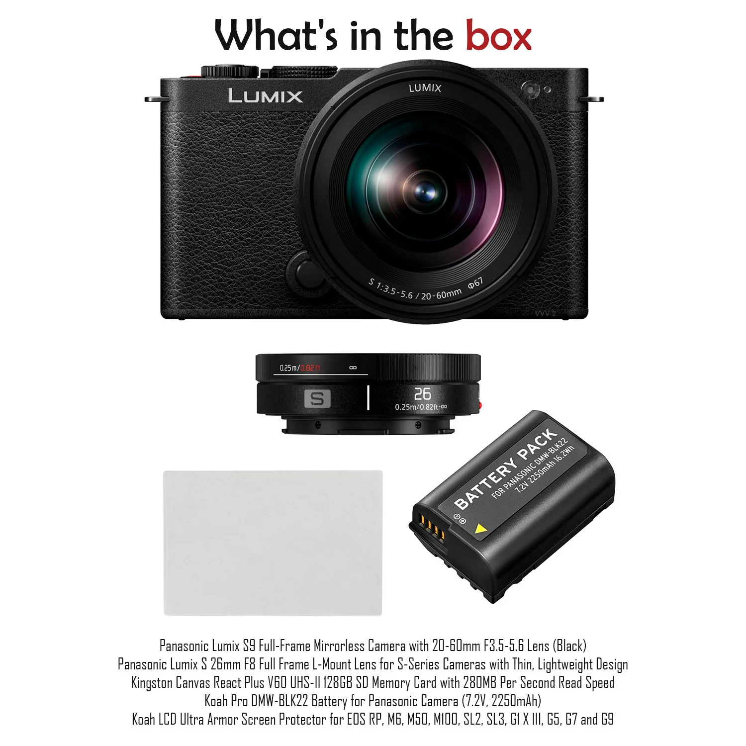 Panasonic Lumix S9 Full-Frame Mirrorless Camera with 20-60mm F3.5-5.6 Lens (Black) Bundle - Image 7
