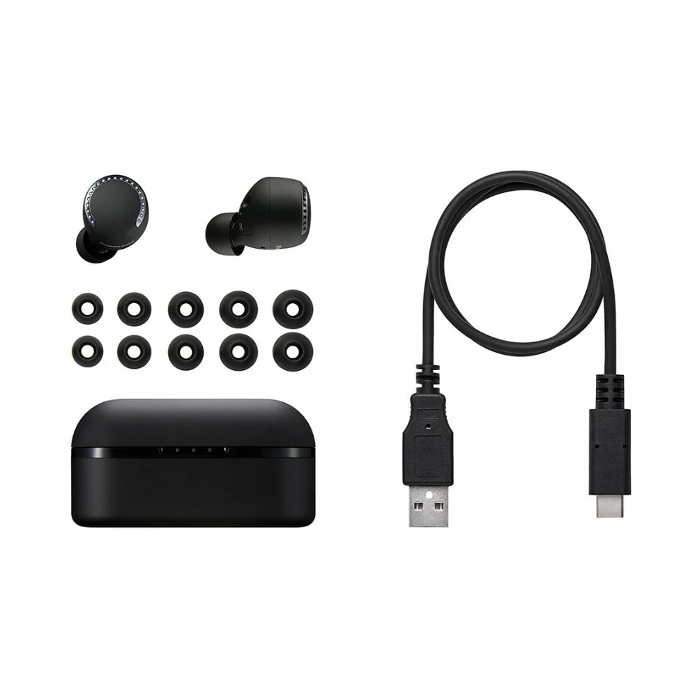 Panasonic RZ-S500W True Wireless Bluetooth Earphones (Black) - Image 5