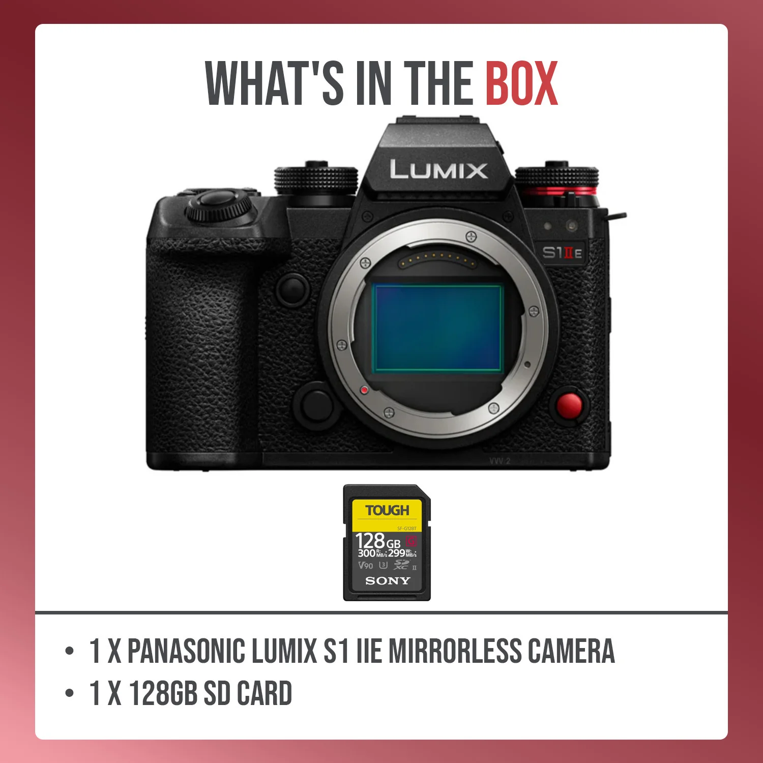 Panasonic Lumix S1 IIE Mirrorless Camera with 24.1MP CMOS Sensor Bundle - Image 8
