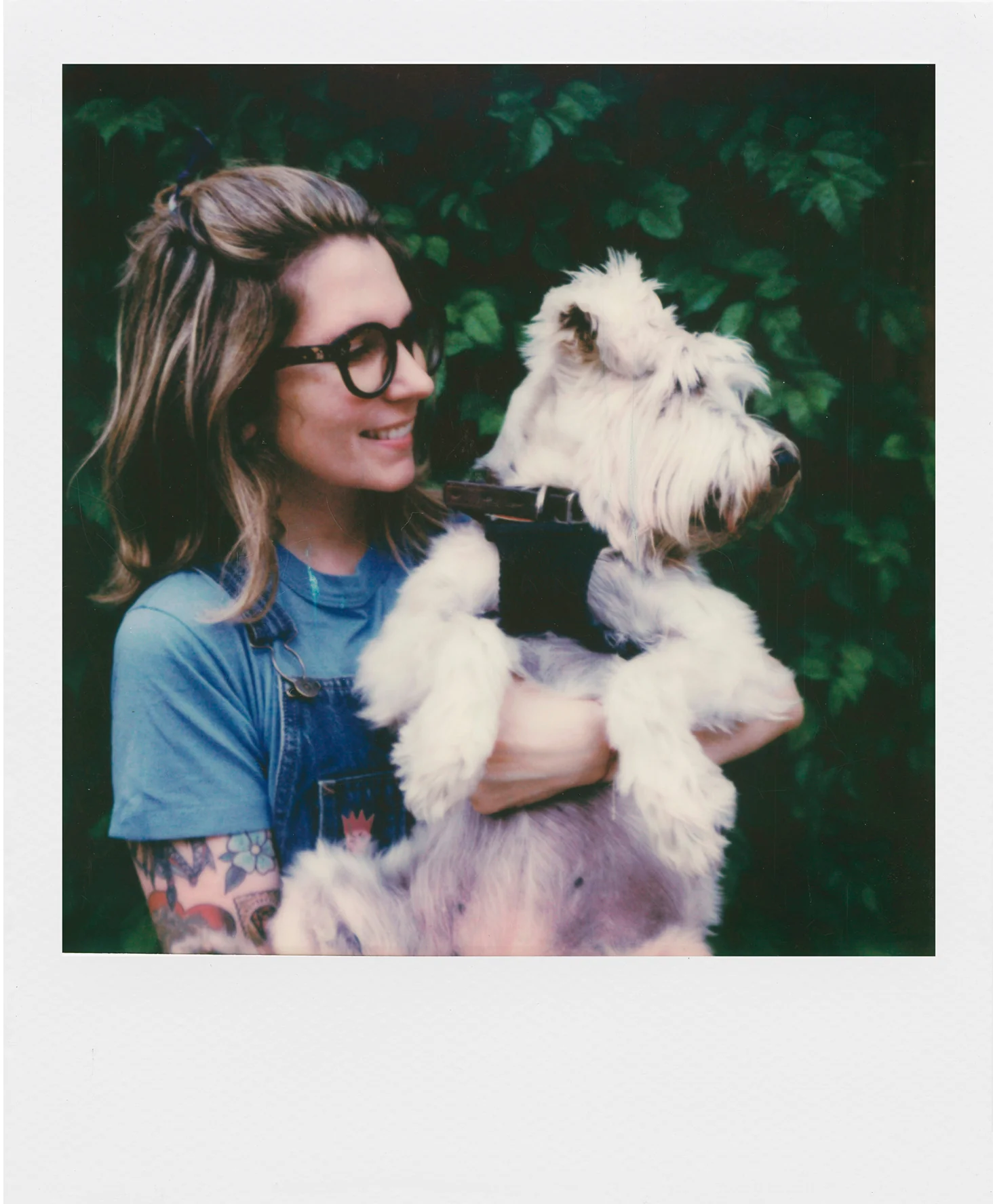 Polaroid Originals Standard Color Instant Film for i-Type Cameras (8 Exposures) - Image 3