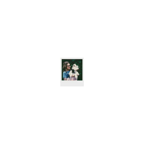 Polaroid Originals Standard Color Instant Film for i-Type Cameras (80 Exposures) - Image 9