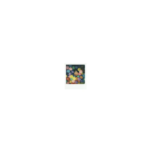 Polaroid Originals Classic Color Instant Film for 600 Cameras (8 Exposures) - Image 30