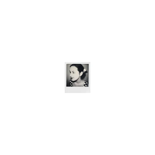 Polaroid Originals Classic B&W Instant Film for 600 Cameras (80 Exposures) - Image 14