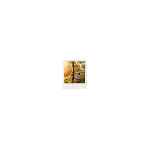 Polaroid Originals Classic Color Instant Film for SX-70 Cameras (8 Exposures) - Image 13