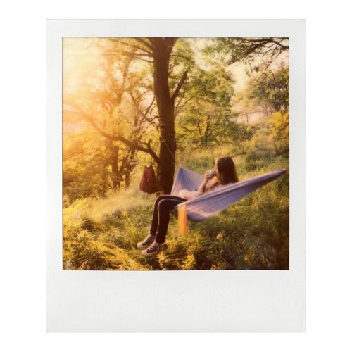 Polaroid Originals Classic Color Instant Film for SX-70 Cameras (8 Exposures) - Image 5