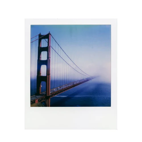 Polaroid Originals Color Instant Film for i-Type Cameras (8 Exposures) - Image 15