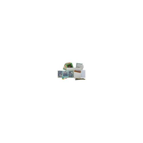 Polaroid Originals Color Instant Film for i-Type Cameras (32 Exposures) Bundle with Photo Box - Image 5