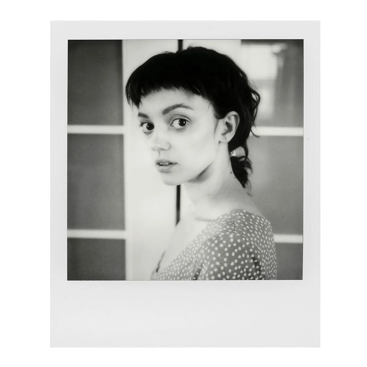 Polaroid B&W Film for SX-70 Cameras - Image 4