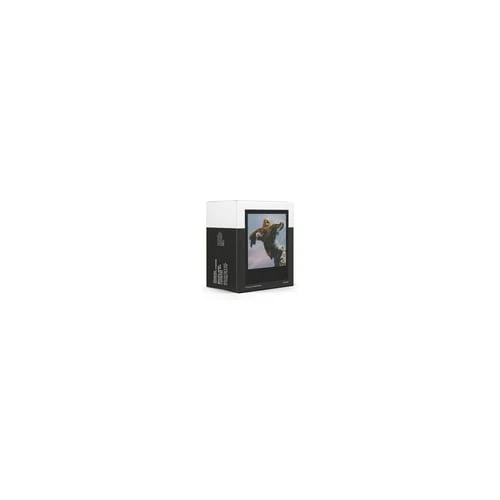 Polaroid Go Color Film Double Pack (Black Frame Edition) - Image 9