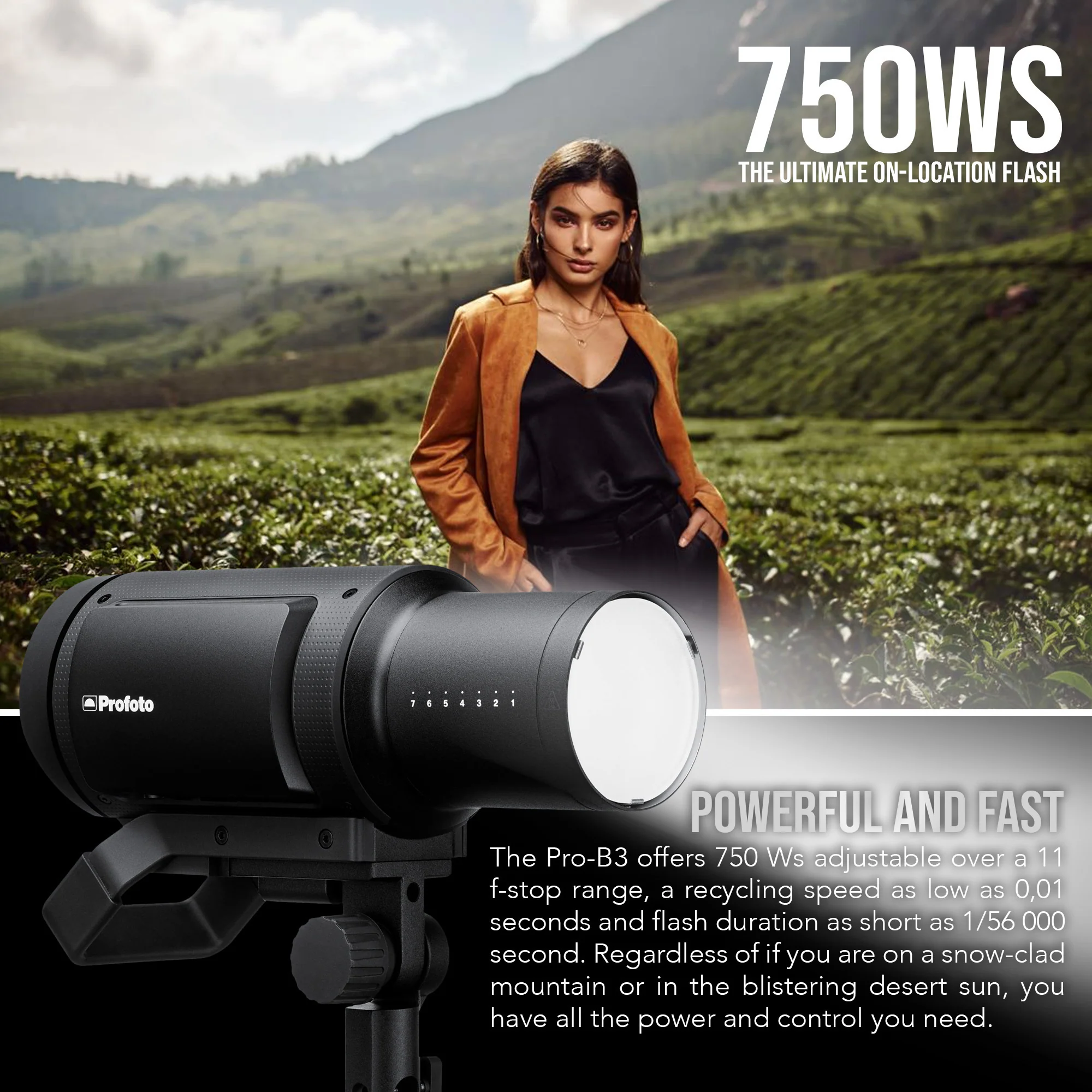 Profoto Pro-B3 Monolight Flash Single Kit - Image 5