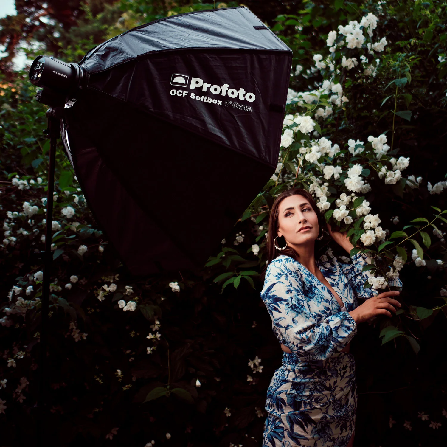 Profoto A2 Monolight with Clic Softbox 2.7-Feet Octa and A-Series Mk II Li-Ion Battery Bundle - Image 6