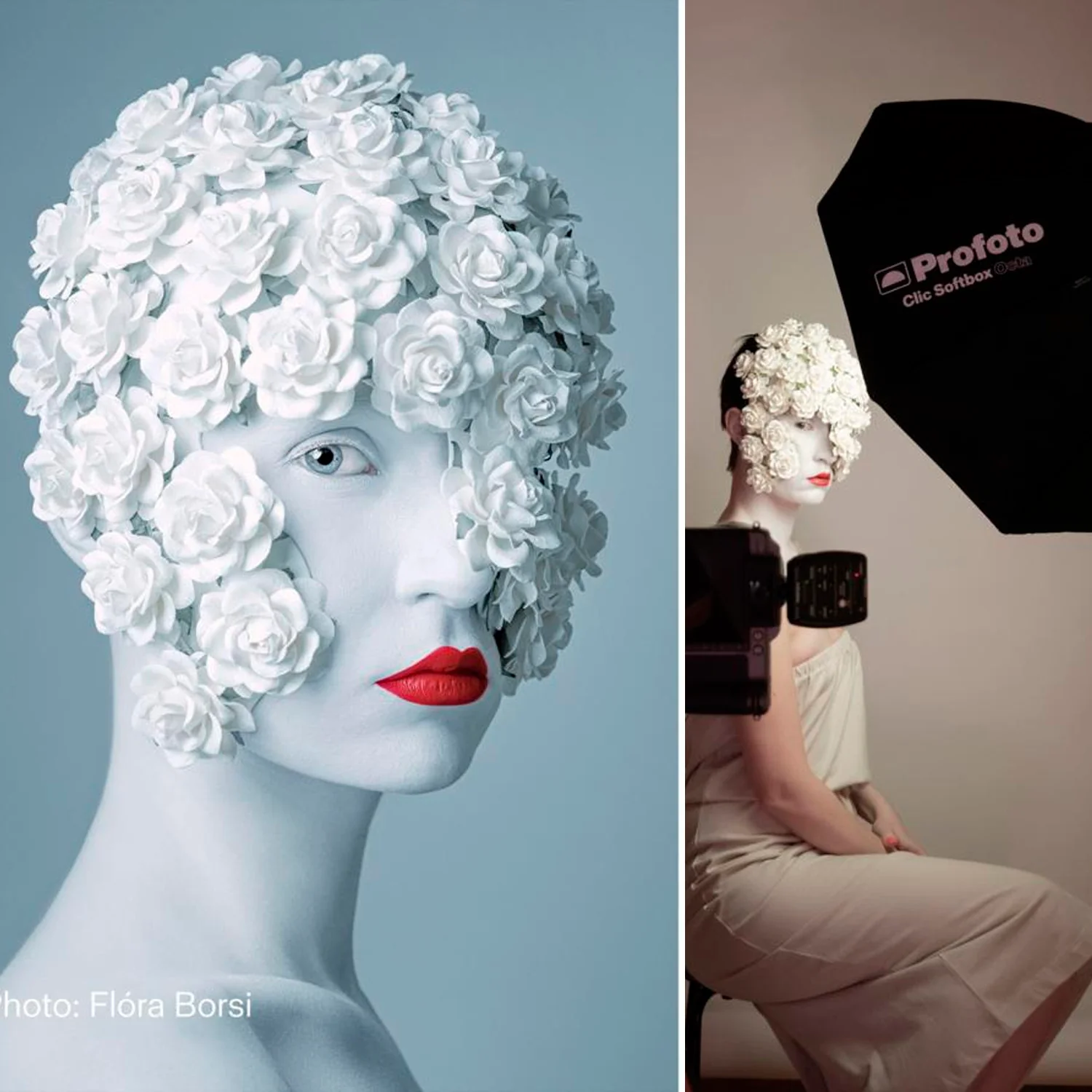 Profoto Softbox 4-Feet Octa with 1 F-Stop Diffuser (Silver) with Softgrid 4-Feet Octa Bundle - Image 5