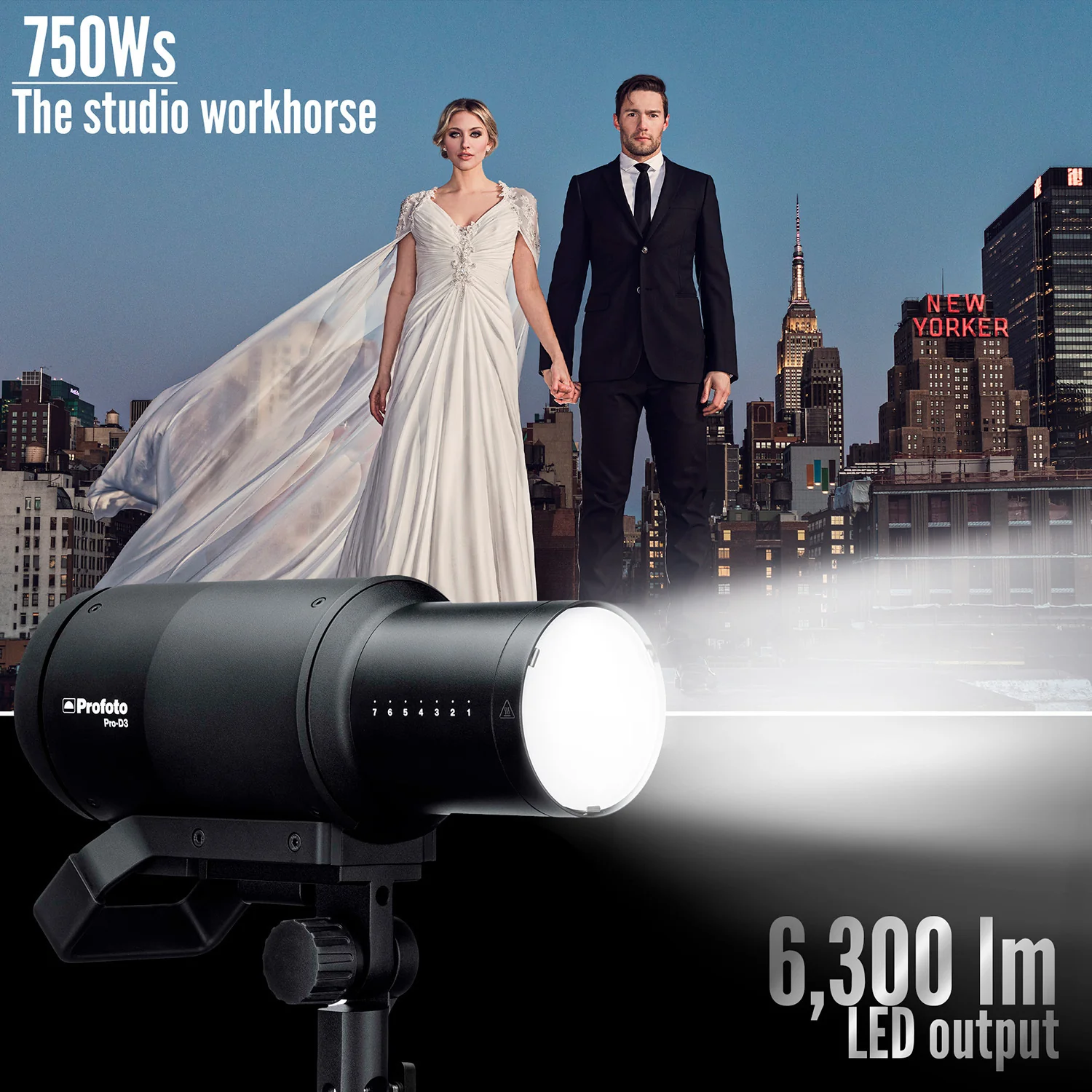 Profoto Pro-D3 Industrial-Grade Monolight 750W Bundle with Connect Pro for Nikon - Image 4