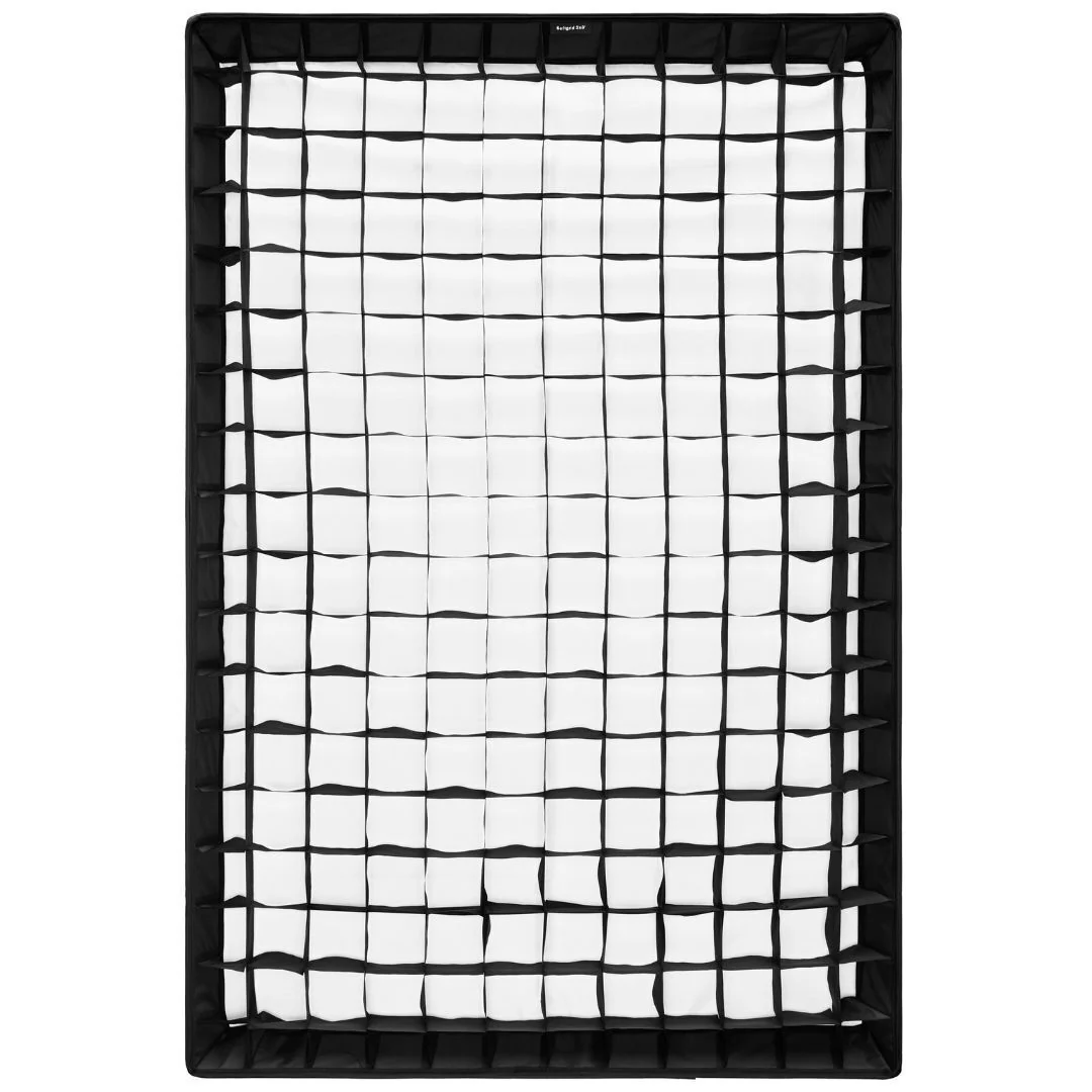 Profoto L600D LED Light 600W with 2x3-Feet Softbox (Silver) and Softgrid Bundle - Image 6