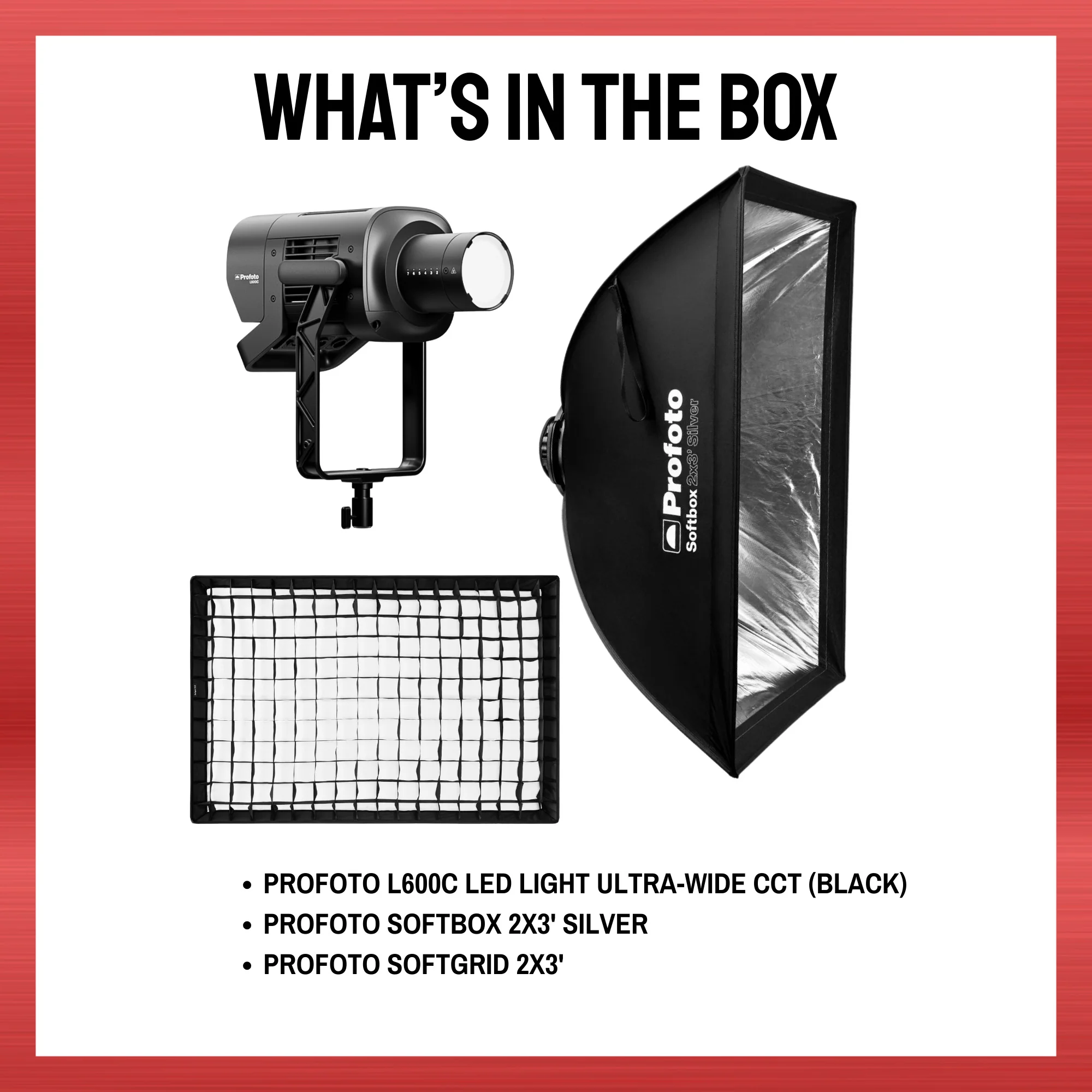 Profoto L600C LED Light Bundle with Rectangular Softbox and Softgrid - Image 9