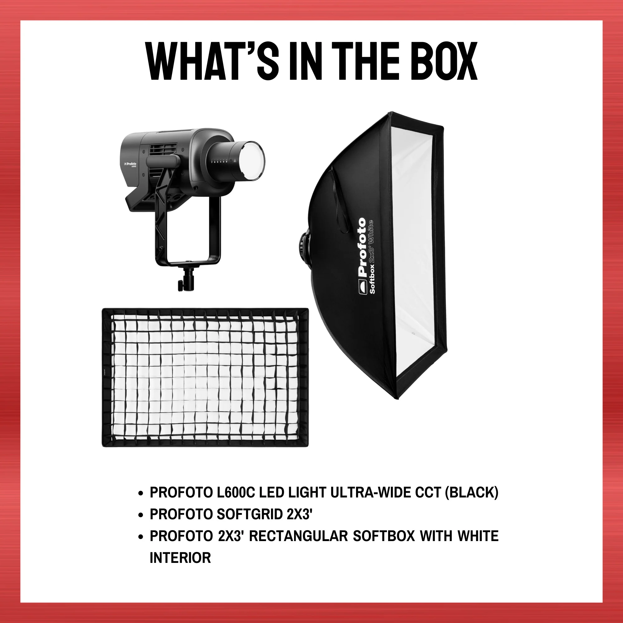 Profoto L600C LED Light Bundle with Rectangular Softbox and Softgrid - Image 9