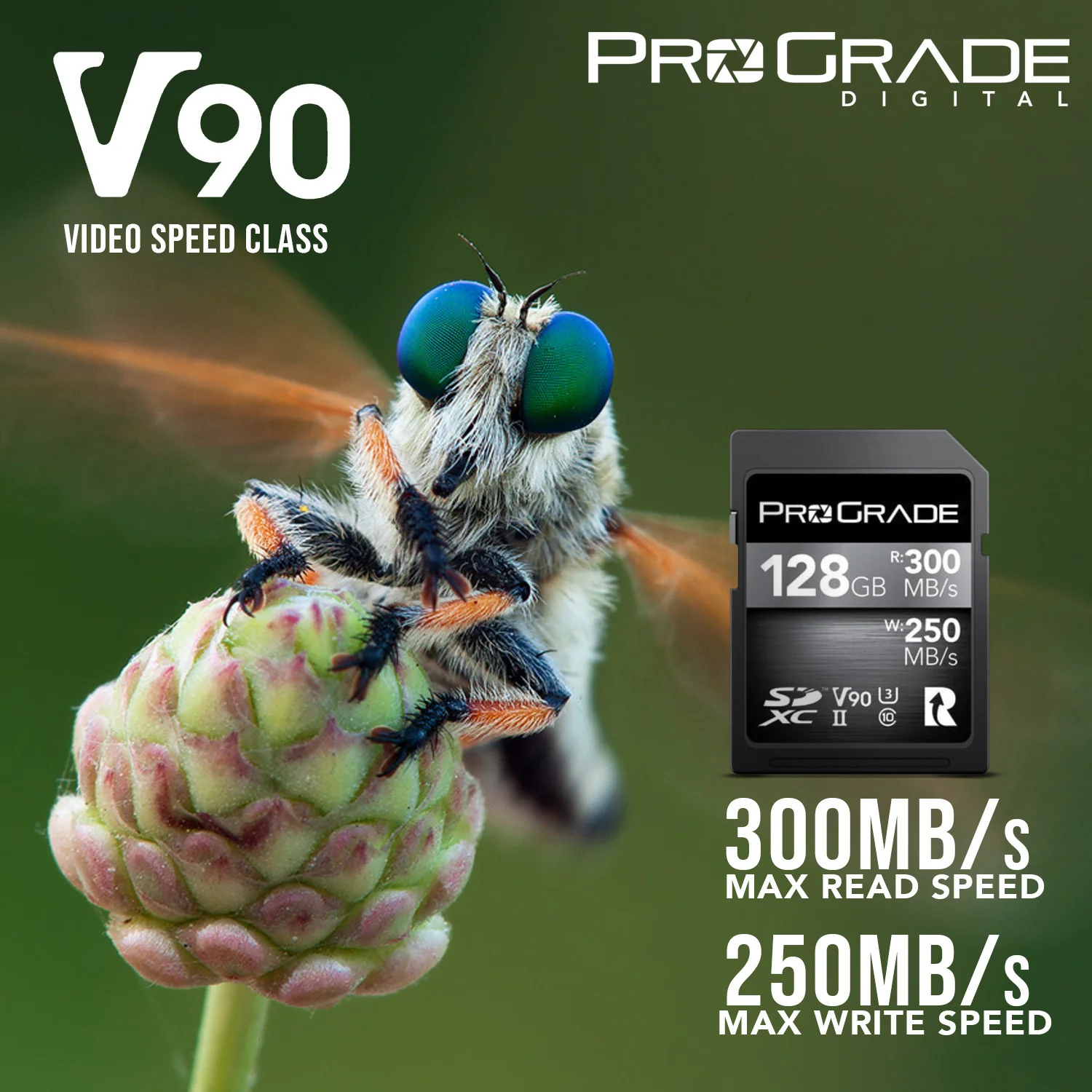 ProGrade Digital 128GB UHS-II V90 SDXC Memory Card - Image 2