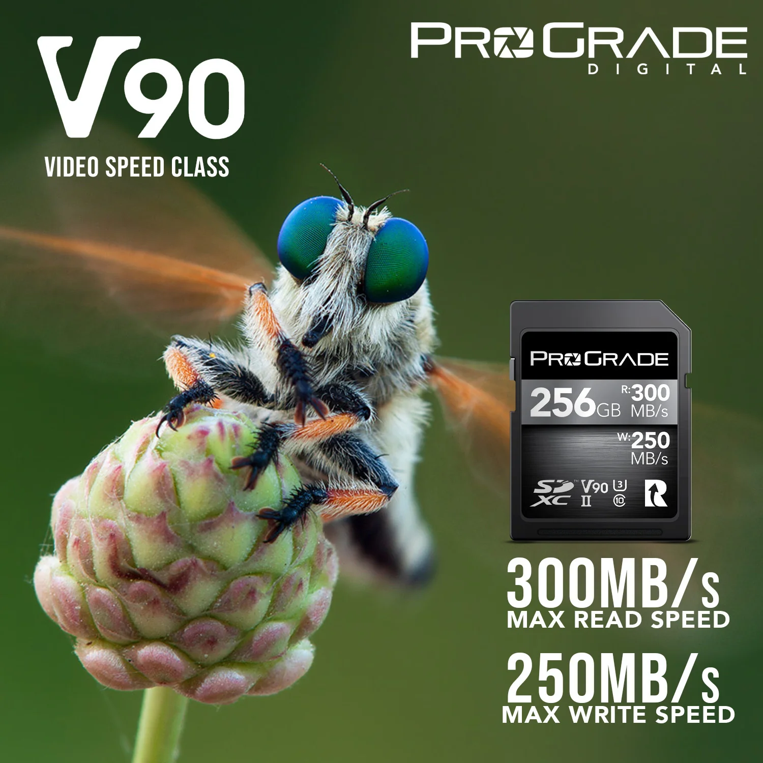 ProGrade Digital SDXC UHS-II V90 300R 256GB Capacity, 300MB/s Read and 250MB/s Write Memory Card - Image 3