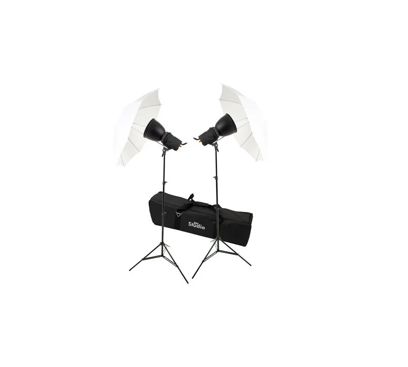RPS RS-5510 1000-watt Continuous 2 Light Kit