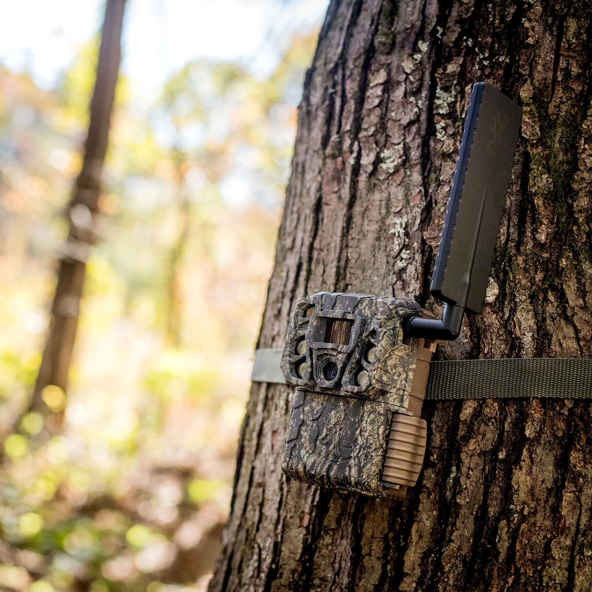 Browning Trail Camera - Defender Wireless Vision Pro HD AI 46MP (10-Pack) Bundle - Image 6