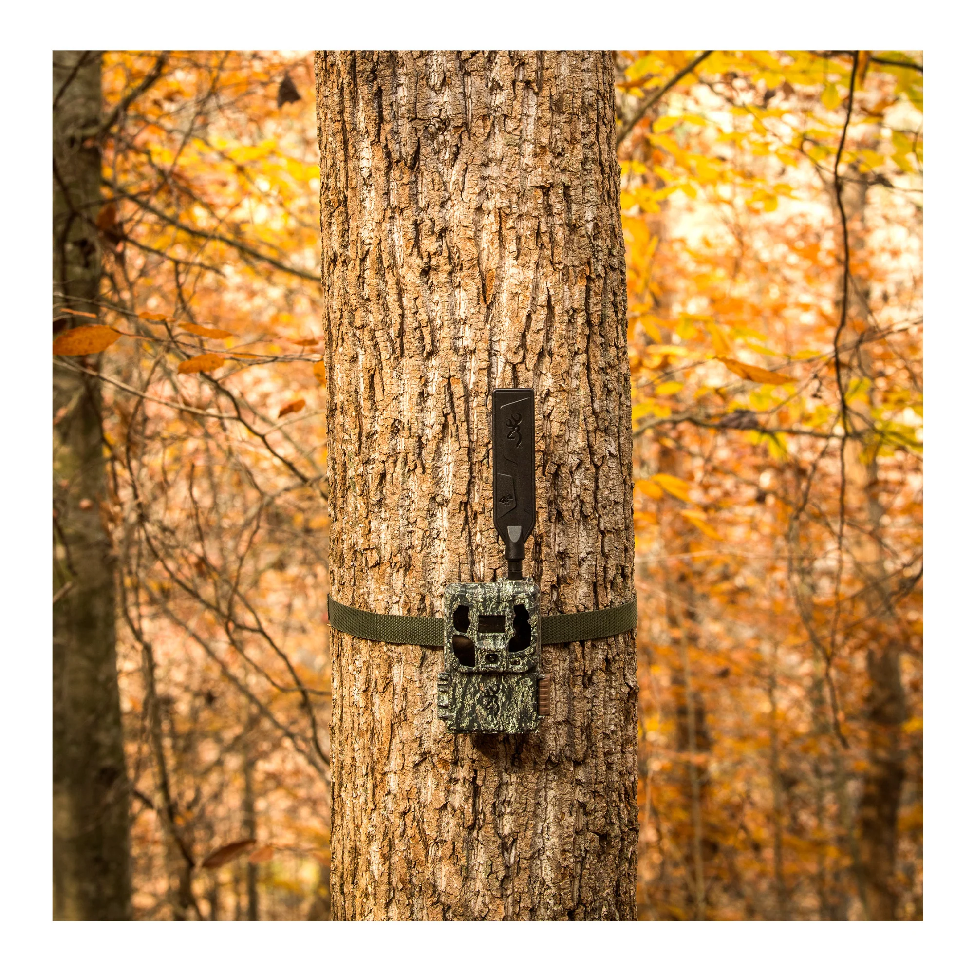 Browning Trail Cameras - Defender Wireless Pro Scout Max HD AI (10-Pack) Bundle - Image 10