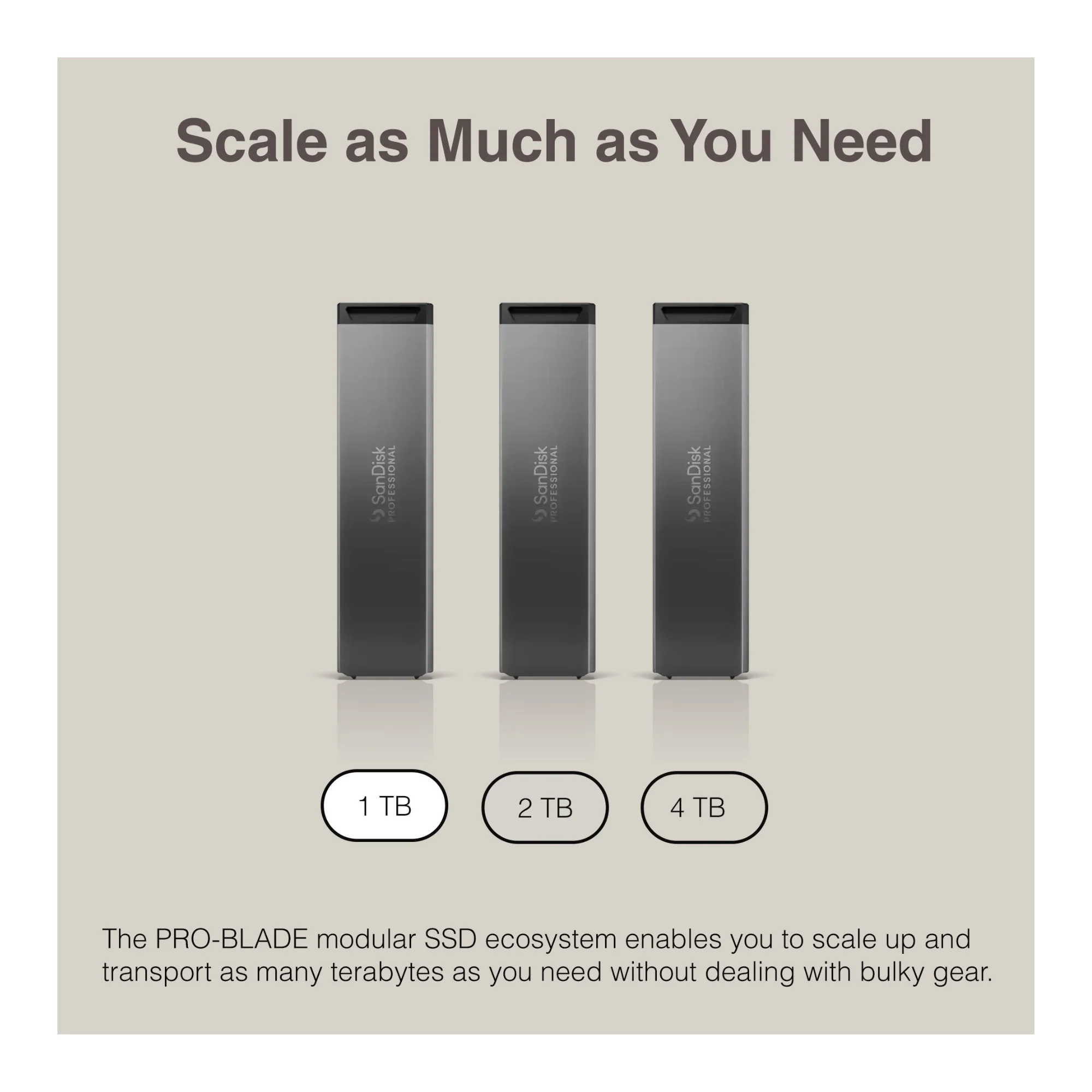 Sandisk Professional 1TB Pro-Blade SSD MAG with Pro-Blade Transport (0 TB) - Image 3