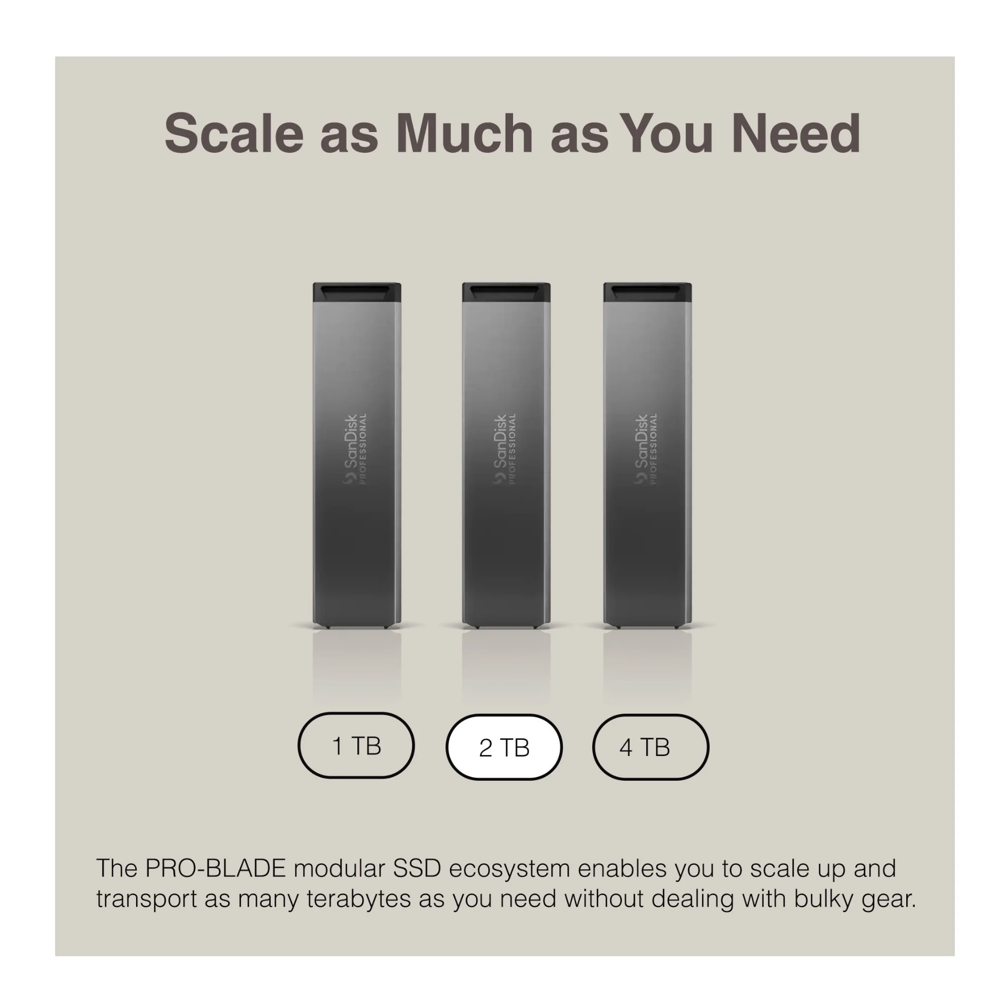 Sandisk Professional 2 TB Pro-Blade SSD MAG NvME with Pro-Blade Transport (0 TB) - Image 3