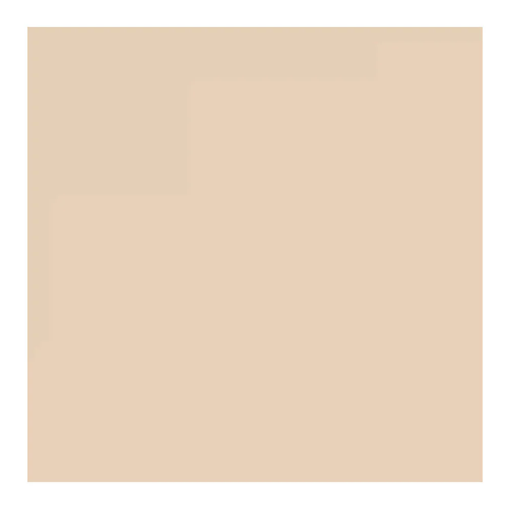 Savage Widetone Seamless Background Paper (#19 Egg Nog, 53-Inch x 36-Feet)