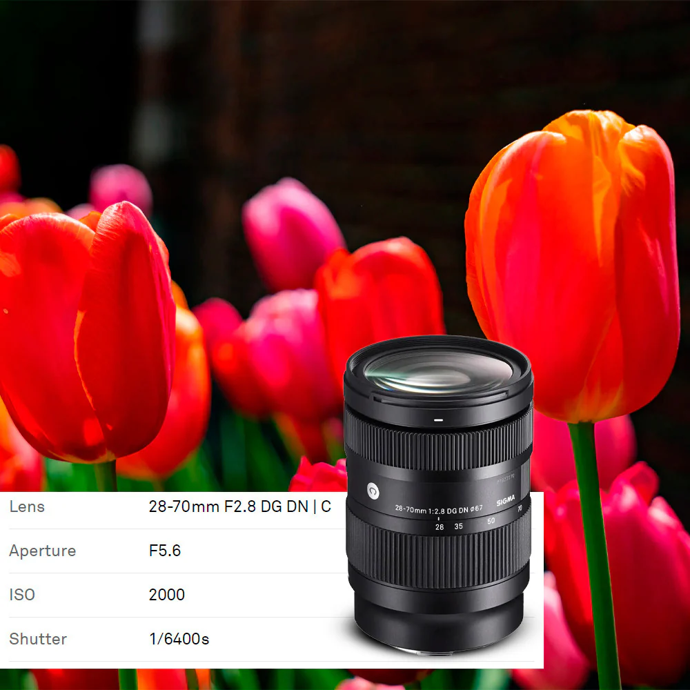 Sigma 28-70mm f/2.8 DG DN Contemporary Lens for L Mount with USB 3.0 1TB Portable Hard Drive Bundle - Image 4