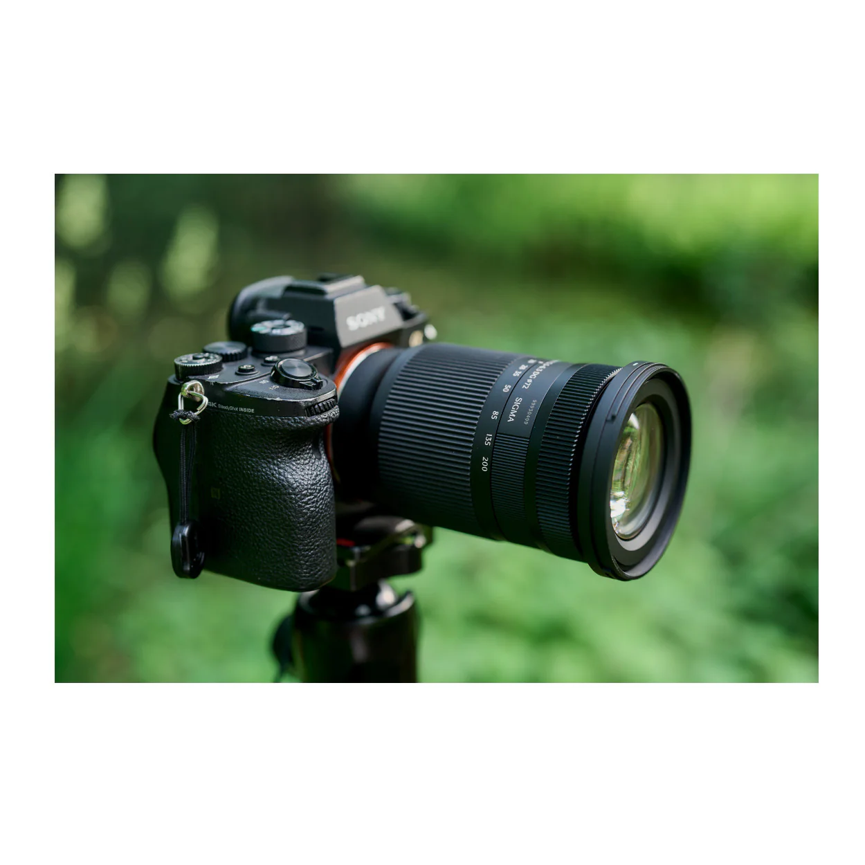 Sigma 20-200mm F3.5-6.3 DG Contemporary Lens (Sony E Mount) (Open Box) - Image 7