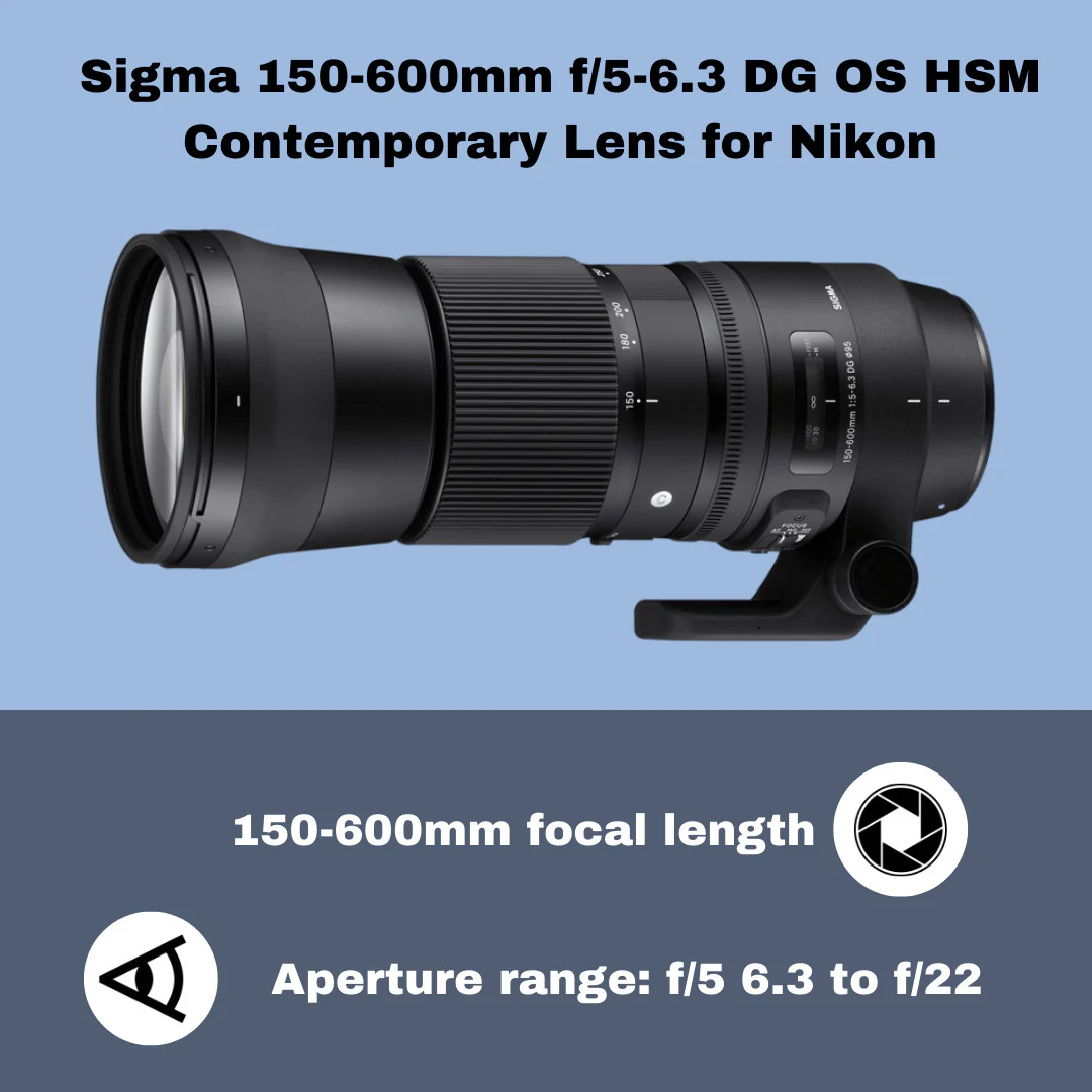 Sigma 150-600mm f/5-6.3 DG OS HSM Contemporary Lens for Nikon with USB Dock and 64GB SD Cards Bundle - Image 10