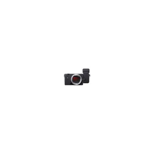 Sigma fp L Digital Camera with Electronic Viewfinder EVF-11 with External Hard Drive and Memory Card - Image 16