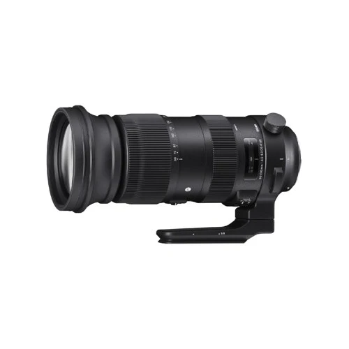 Sigma 60-600mm f/4.5-6.3 DG OS HSM Sports Lens for Nikon Bundle - Image 10