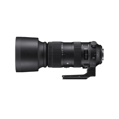 Sigma 60-600mm f/4.5-6.3 DG OS HSM Sports Lens for Nikon Bundle - Image 6