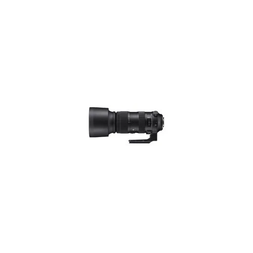 Sigma 60-600mm f/4.5-6.3 DG OS HSM Sports Lens for Nikon Bundle - Image 9