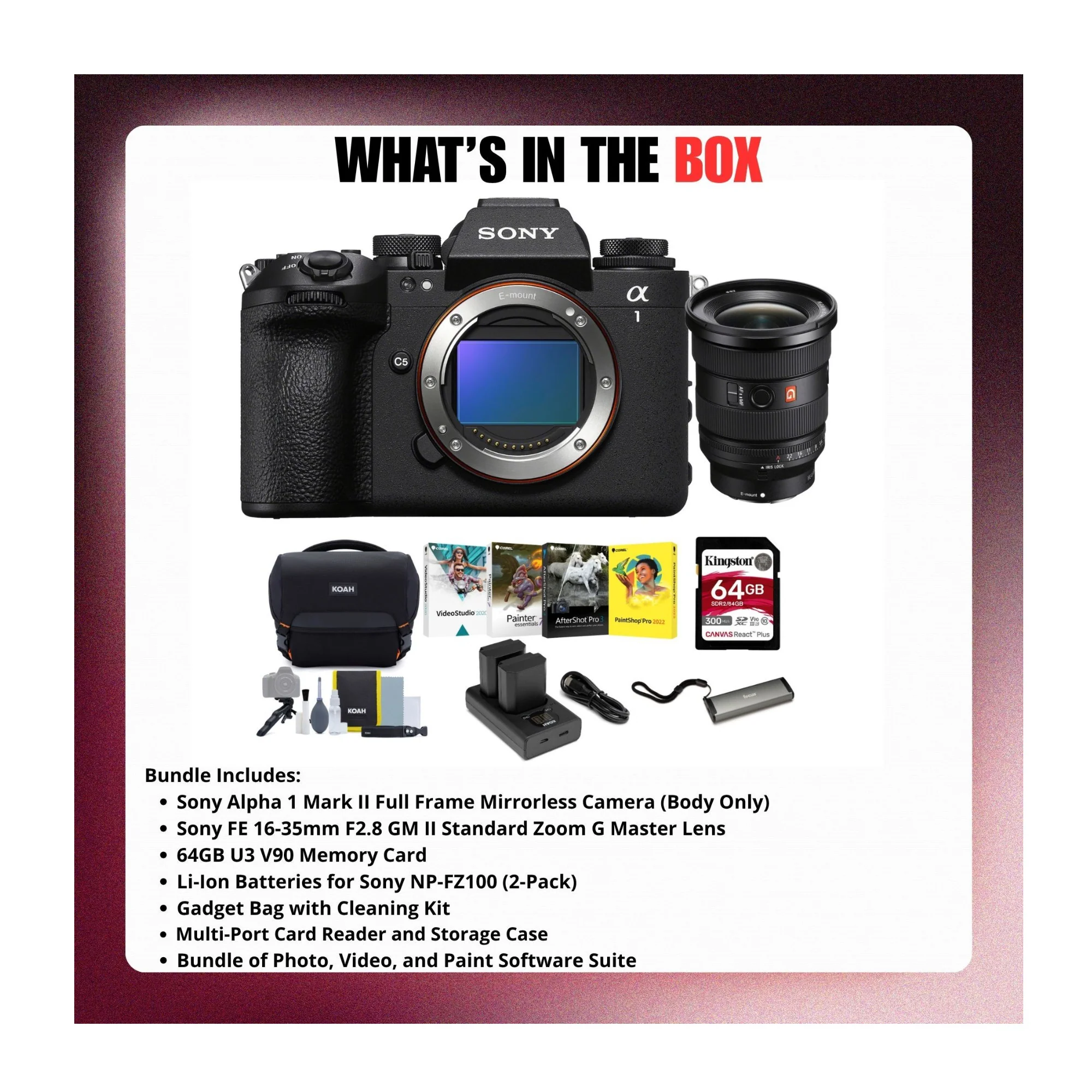 Sony Alpha 1 Mark II Mirrorless Camera with FE 16-35mm f/2.8 GM II Lens Bundle - Image 9