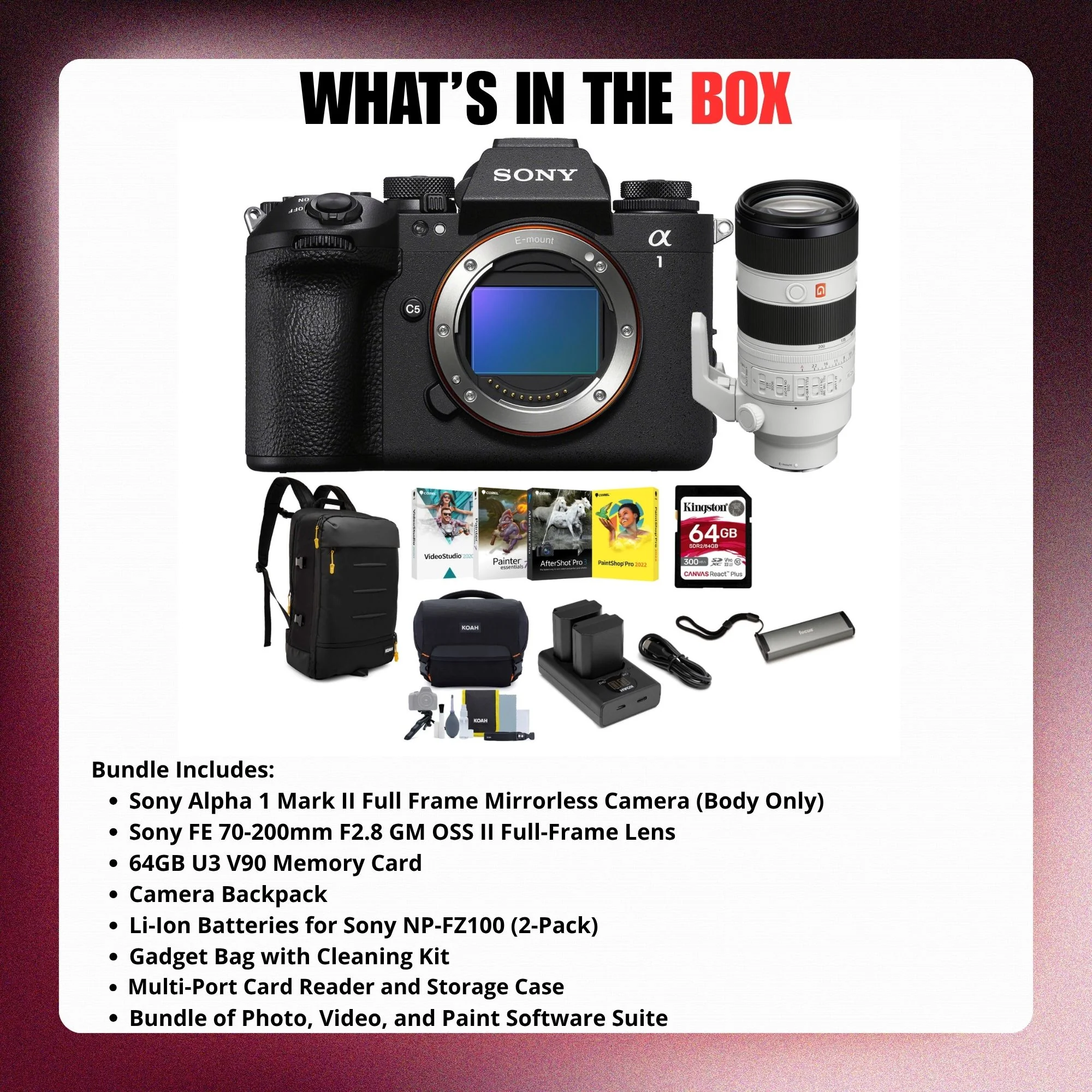 Sony Alpha 1 Mark II Mirrorless Camera with FE 70-200mm f/2.8 GM II Lens Bundle - Image 9