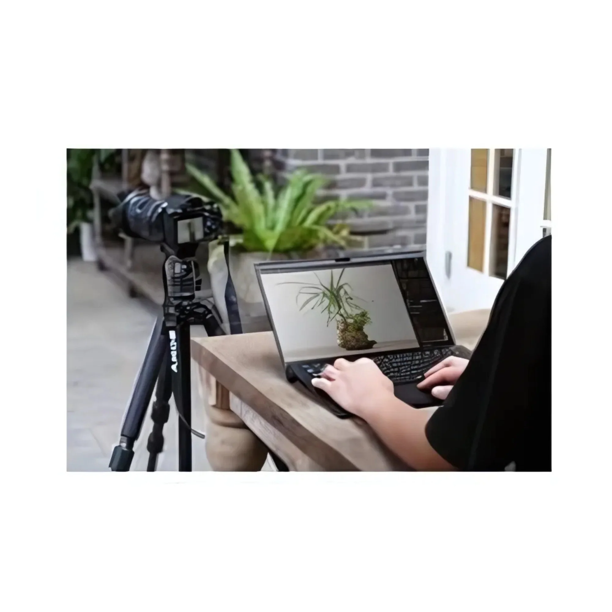 Sony a7R V Mirrorless Camera with 200-600mm f/5.6-6.3 G OSS Lens Bundle - Image 8
