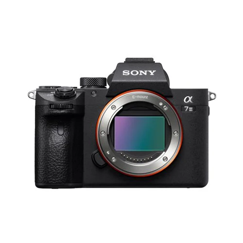 Sony Alpha a7 III Full-Frame Mirrorless Camera with 28-75mm Lens, 128GB SD Card, and Case Bundle - Image 14