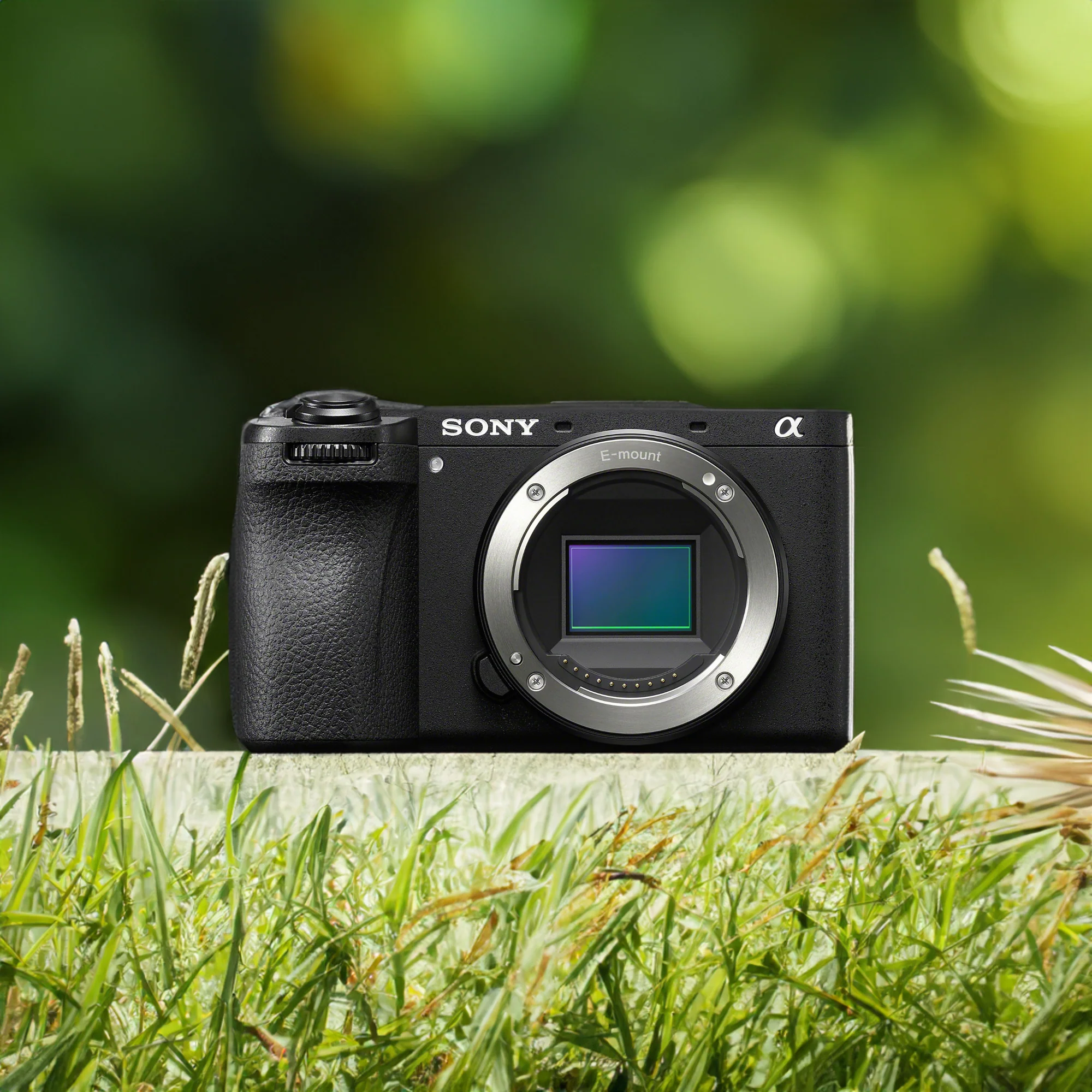 Sony Alpha 6700 APS-C Interchangeable Lens Hybrid Camera Body with Mug, SD Card and Essentials Kit - Image 4